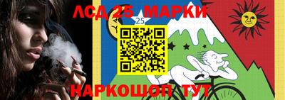индика Боровичи