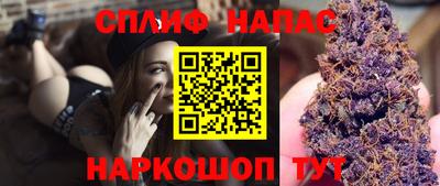 индика Боровичи