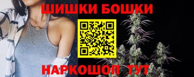 индика Боровичи