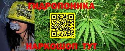 индика Боровичи