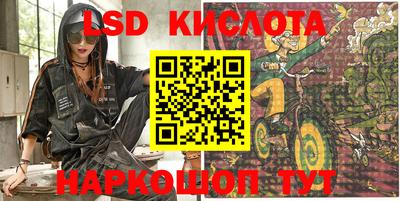 индика Боровичи
