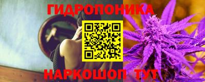 индика Боровичи
