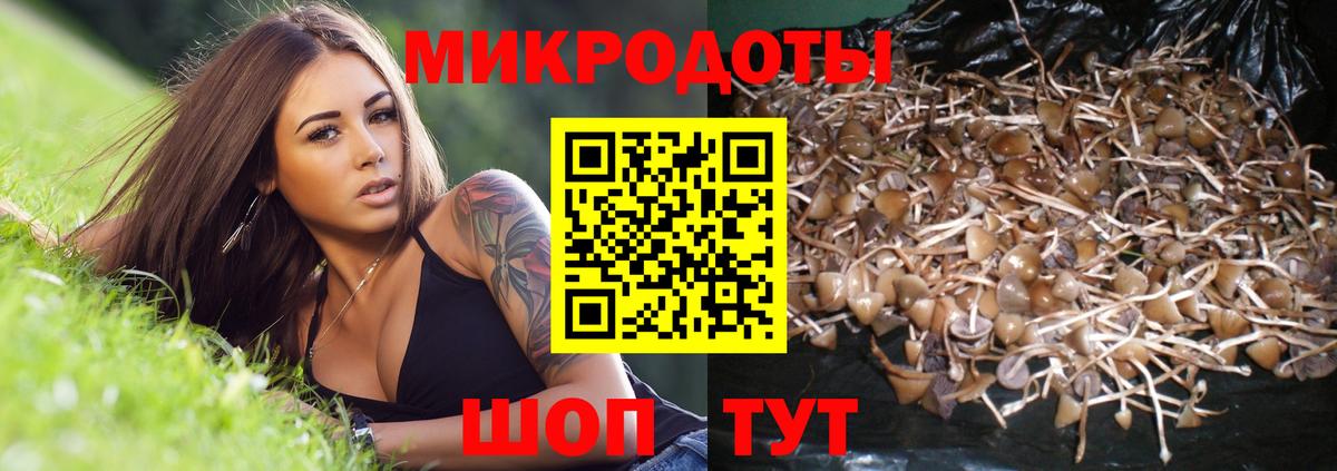 Галлюциногенные грибы MAGIC MUSHROOMS  Вход с VPN  Чусовой 